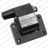 DELPHI GN10170 Ignition Coil Unit